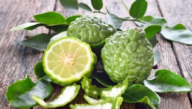 Bergamot – výnimočný citrus s jedinečnou chuťou Bergamot – výnimočný citrus s jedinečnou chuťou